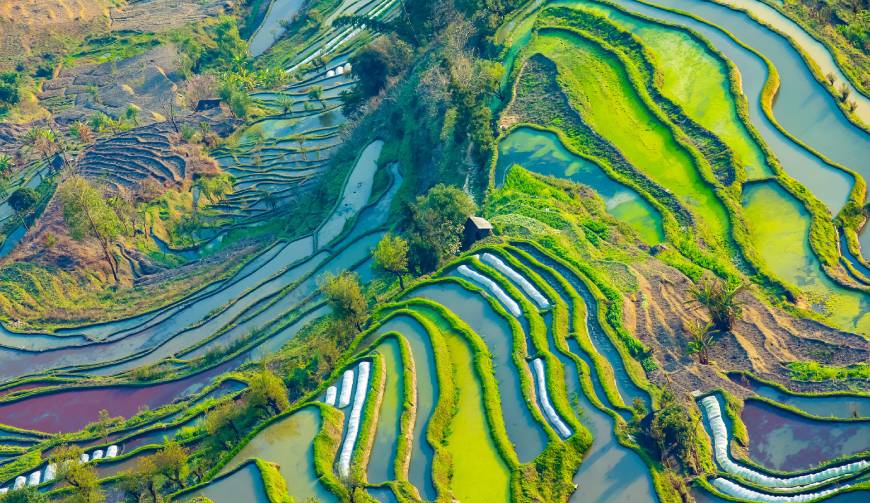 宝妈必备神器：耒阳市产品视频拍摄轻松育儿好帮手
