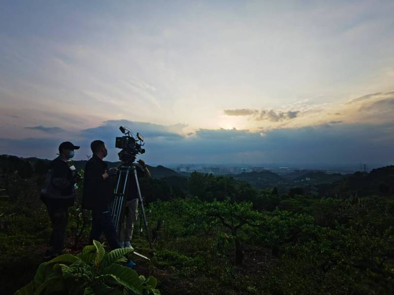 聚焦耒阳市产品宣传视频拍摄公司，用专业实力铸就品牌传播传奇